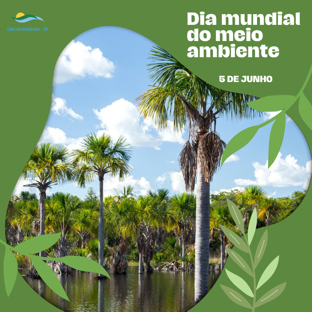 Dia do meio ambiente