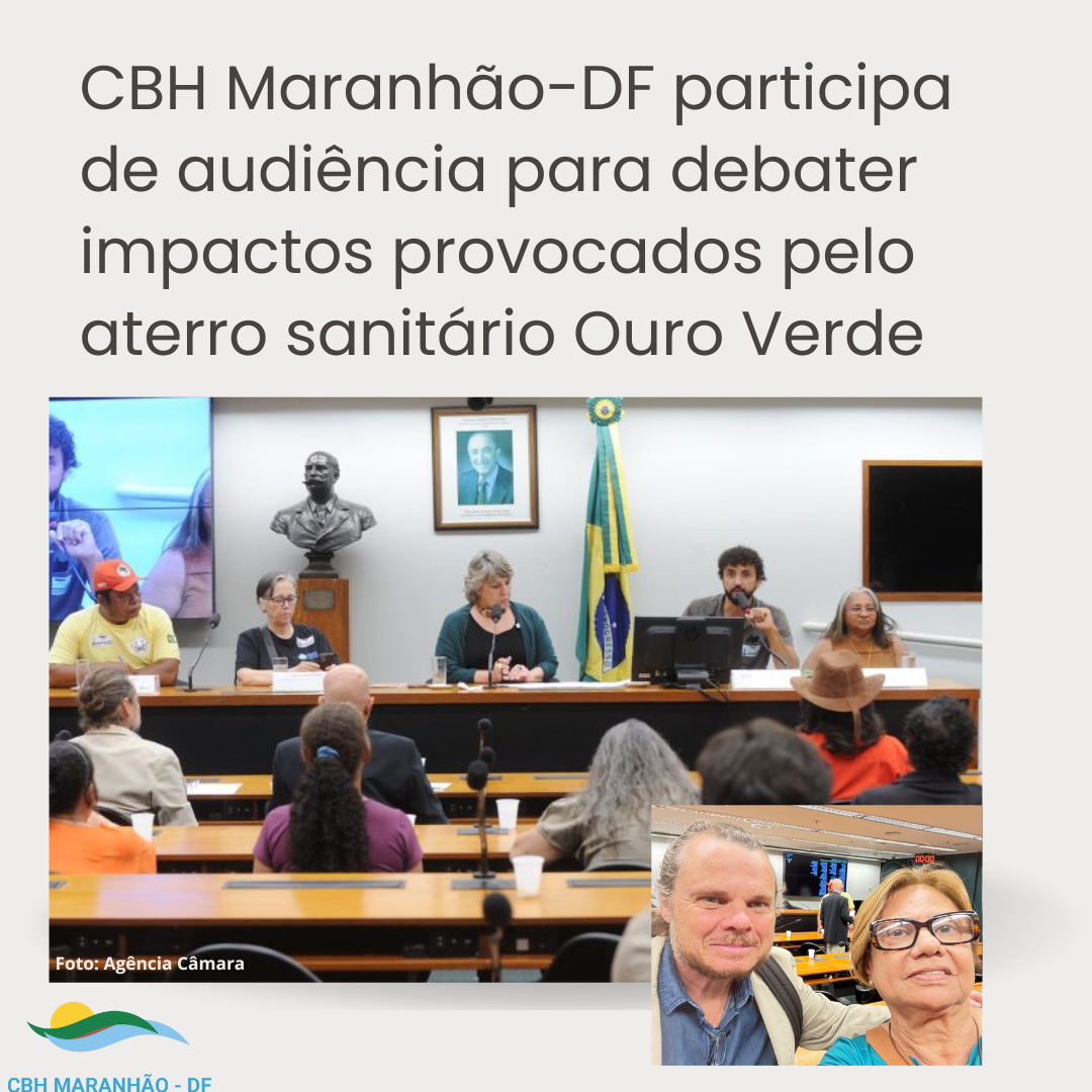 Audiência Câmara Federal