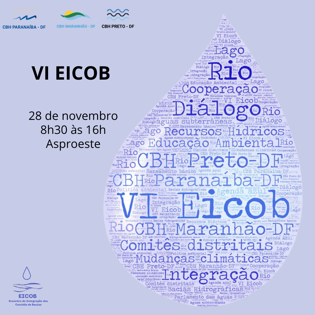 Comitês de Bacias Distritais realizam VI Encontro de Integração
