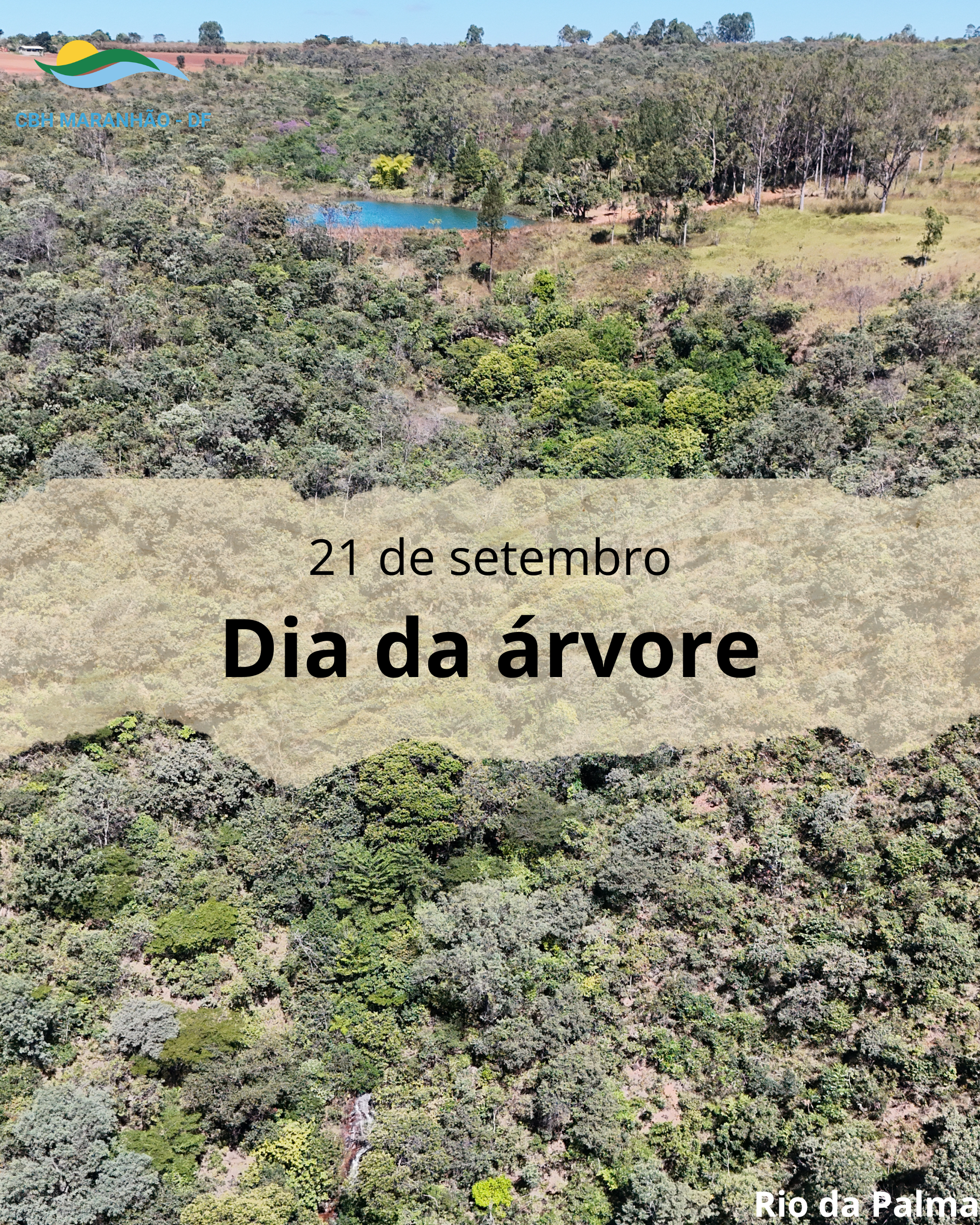 Dia da árvore