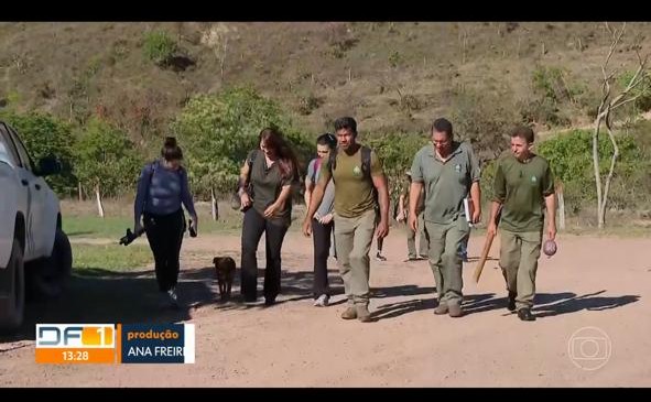 Rede Globo: Festival Emaranhar é destaque no dia do Cerrado